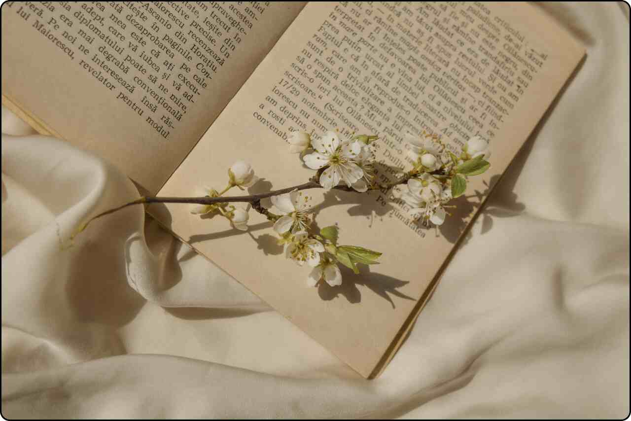 White flowers laid on an open book page.